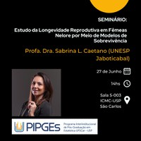 27/06/25 - Seminário do Programa Interinstitucional de Pós-Graduação em Estatística (PIPGEs) da UFSCar-USP